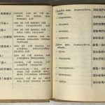 Русско-китайский разговорник. (Для поездных работников). 10