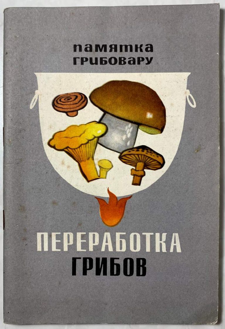 Перерабатывающая грибы. Памятка о грибах. Переработанные грибы. Переработка опят.
