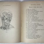 Евдокимов Б.А. Пластическая анатомия и перспектива для фотографов-портретистов. 4