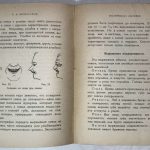 Евдокимов Б.А. Пластическая анатомия и перспектива для фотографов-портретистов. 5
