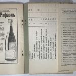 Лозинский А.А. Кеммерн. Путеводитель для врачей и больных. 10