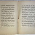 Лундберг Е.Г. Записки писателя, 1917-1920. 7
