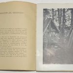 Поленова Н.В. Мария Васильевна Якунчикова. 6