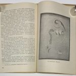 Дудучава А. Грузинская живопись. 6