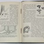 Формозов А.Н. Спутник следопыта. 10