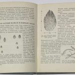 Формозов А.Н. Спутник следопыта. 7