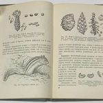 Формозов А.Н. Спутник следопыта. 8