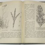 Формозов А.Н. Спутник следопыта. 9