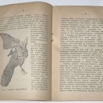 Коршиков А.А. Происхождение жизни. 6