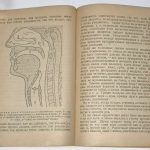 Красный-Адмони В.Г. [Автограф] Как возникла человеческая речь. 8