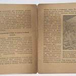 Лопатин П.И. Чудеса природы. 6