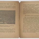 Лопатин П.И. Чудеса природы. 8