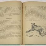 Меджидов К.М. Добрые соседи. 5