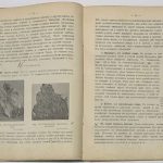 Нечаев А.В. Учебник минералогии и геологии. 6