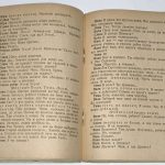 Завельская С., Облонский А. Челюскинцы. 6