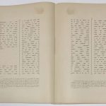 Палея толковая. 4