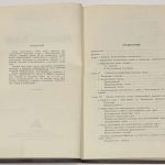 Пеликан Антонин. Плавленые камни. 5