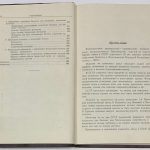 Пеликан Антонин. Плавленые камни. 7