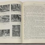 Пеликан Антонин. Плавленые камни. 9