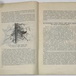 Формозов А.Н. Шесть дней в лесах. 6