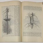 Формозов А.Н. Шесть дней в лесах. 8