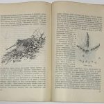 Формозов А.Н. Шесть дней в лесах. 9