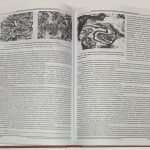Фролов А.А., Лапин А.В., Толстов А.В. Карбонатиты и кимберлиты. 7