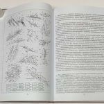 Некрасов Е.М., Дорожкина Л.А., Дудкин Н.В. Систематика, структура и запасы золоторудных. 5