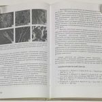 Подземное и кучное выщелачивание золота. 6