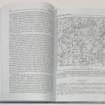 Проблемы геологии континентов и океанов. 5