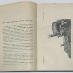 Журнал Природа и охота 1903. 10
