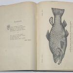 Журнал Природа и охота 1903. 9
