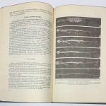 Энгстрем Э., Бьернерстед П., Клемедсон К. Кость и радиоактивный стронций. 5