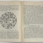 Гейки А. Геология. 6
