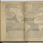 Гуревич Г.Е. Организация работы морского флота. 4