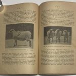 Богданов Е.А. Что такое породистый скот и как он получается. 10