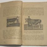 Богданов Е.А. Что такое породистый скот и как он получается. 7