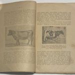 Богданов Е.А. Что такое породистый скот и как он получается. 8