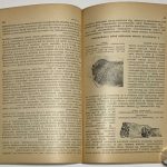 Гамов В.С. [Автограф] Клиника и оперативное лечение отморожений. 5