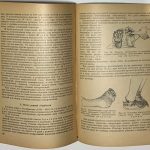 Гамов В.С. [Автограф] Клиника и оперативное лечение отморожений. 6