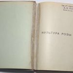 Кичунов Н.И. Культура розы в открытом грунту и под стеклом. 4