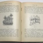 Кичунов Н.И. Культура розы в открытом грунту и под стеклом. 8