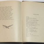 Лейтенант С. (Случевский К.К.) Стихотворения. 8