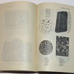 Пустовалов Л.В. Петрография осадочных пород. 9