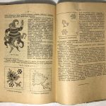 Тихонович В.В. Народный театр. Выпуск 5-6. 6