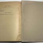 Борьба за Петроград. 5