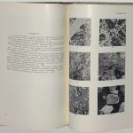 Доброхотов М.Н. Геология и железорудные месторождения Кременчукского района. 5