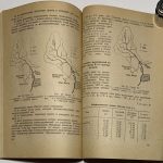 Дюрнбаум Н.С. Защита населенных мест от селевых (грязекаменных) потоков. 8