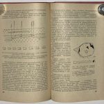 Григорьев В.М., Дружинин А.В., Трофимов Н.Н. Рудные месторождения Африки. 5