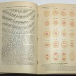 Подвысоцкий В.В. Основы общей и экспериментальной патологии. 10